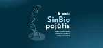 6-asis SinBio pojūtis