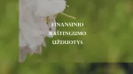 Finansinio raštingumo užduotys